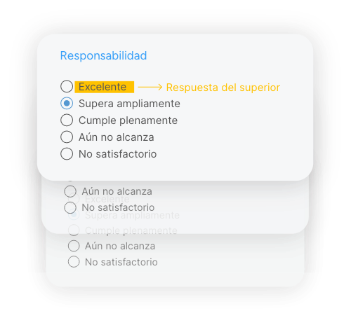 autoevaluaciones